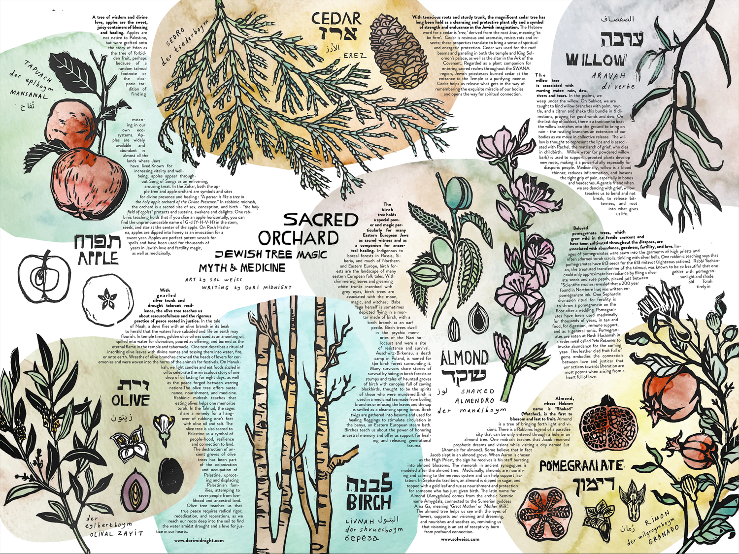 Sacred Orchard Poster — Sol Weiss